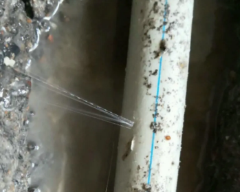 张北卫生间测漏水多少钱